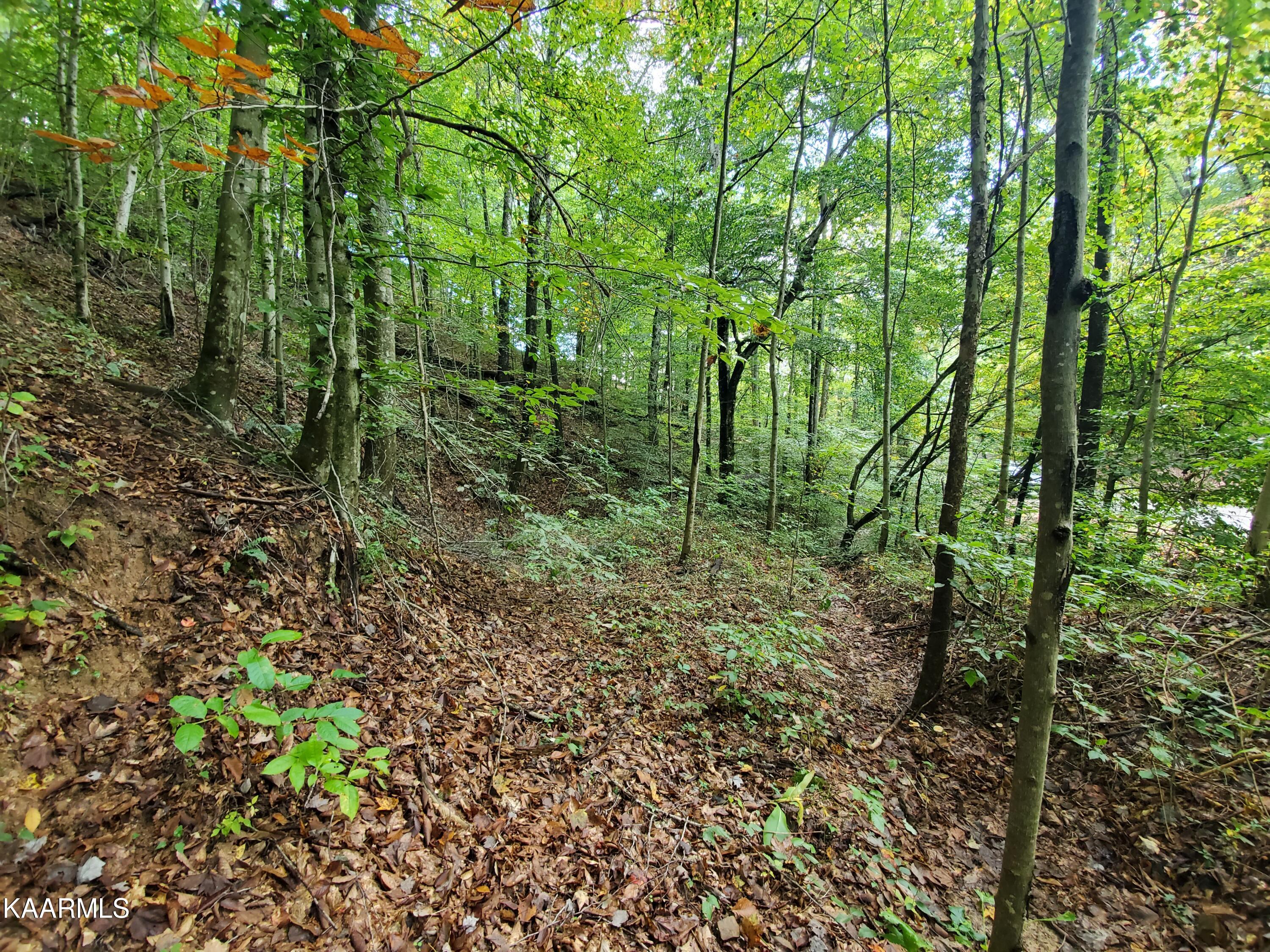 600 Possum Valley Road Dryden, VA 24243 - Photo 2 of 8 20211004_125801