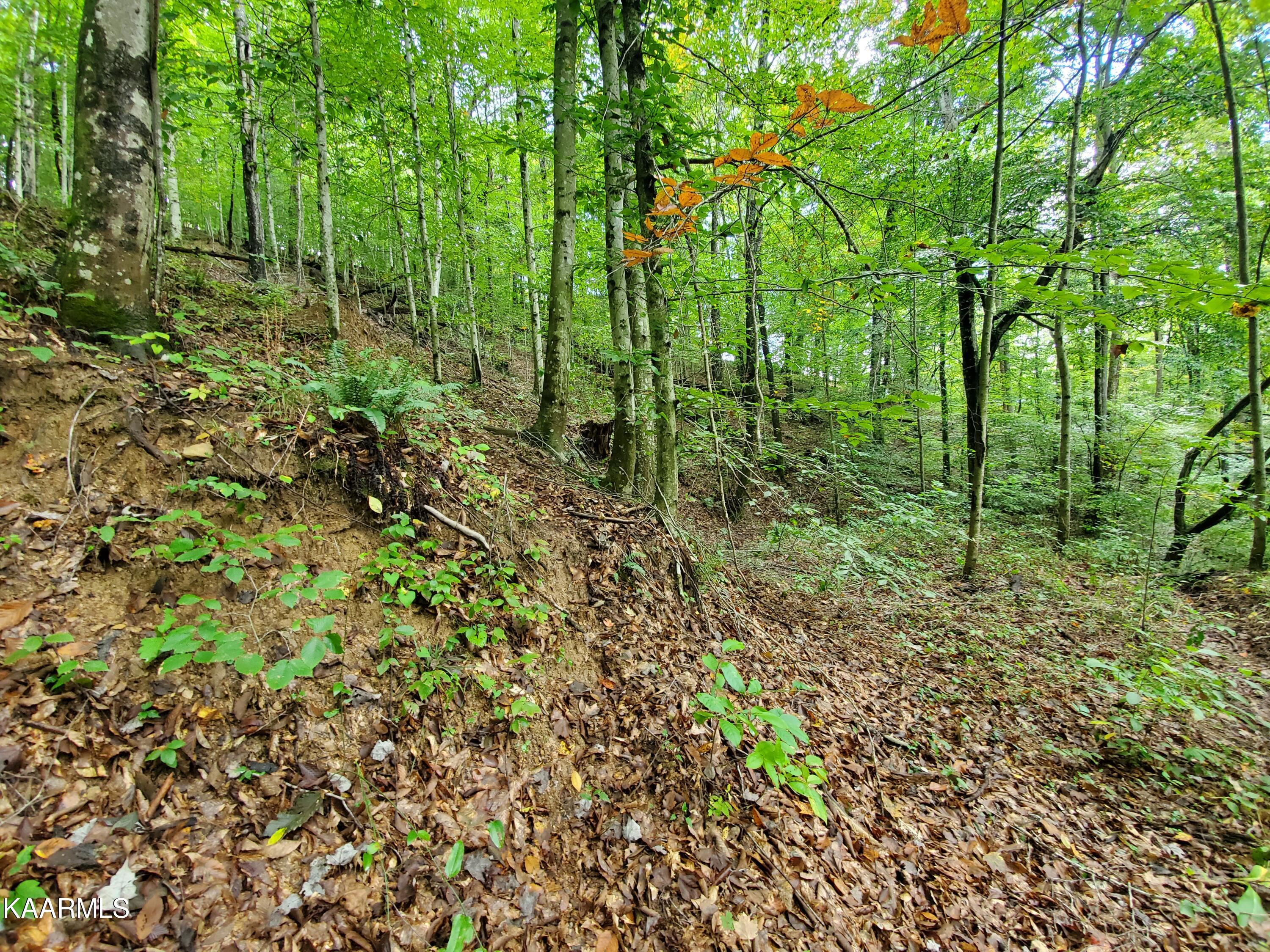 600 Possum Valley Road Dryden, VA 24243 - Photo 3 of 8 20211004_125804