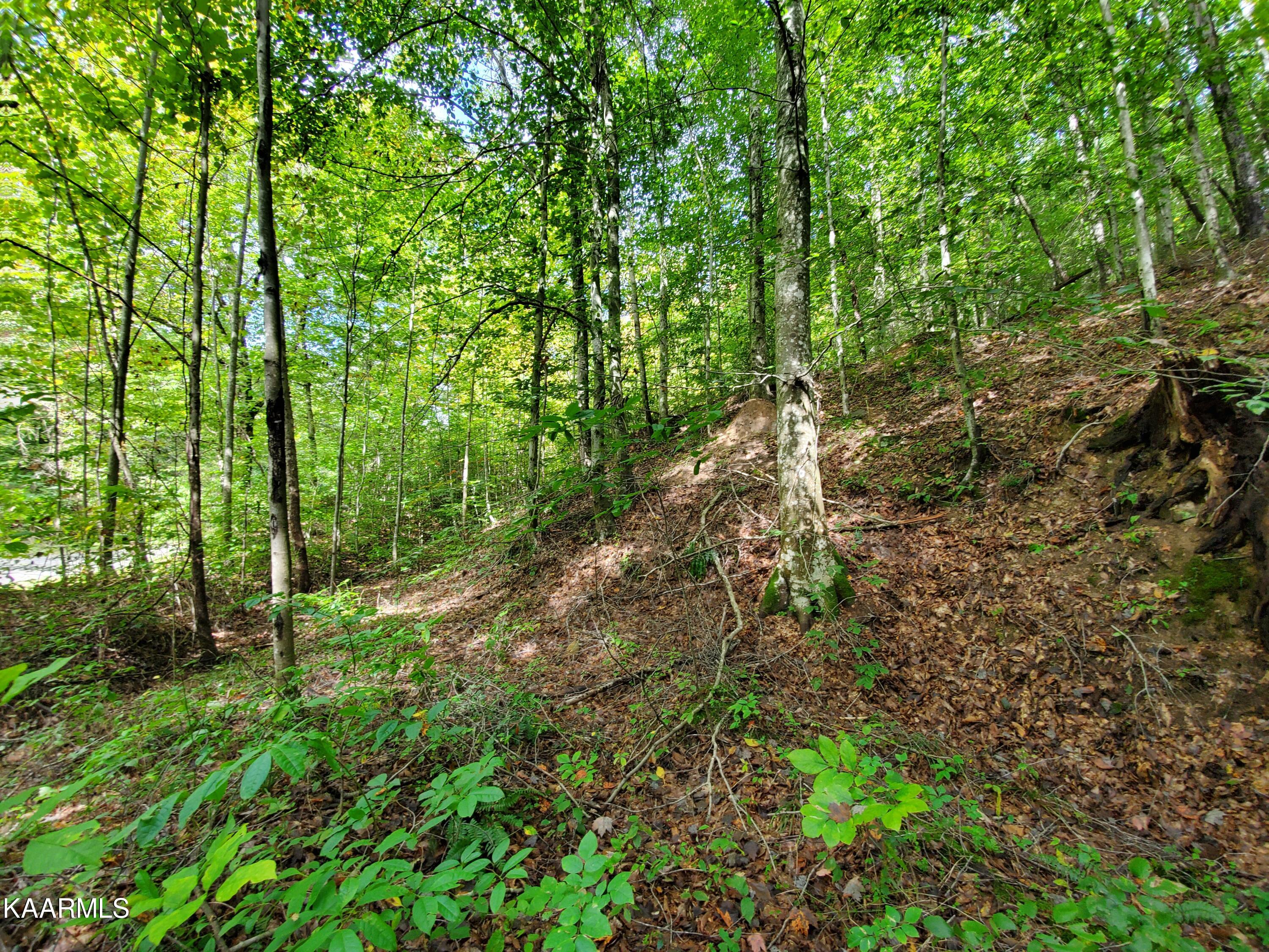 600 Possum Valley Road Dryden, VA 24243 - Photo 5 of 8 20211004_125902