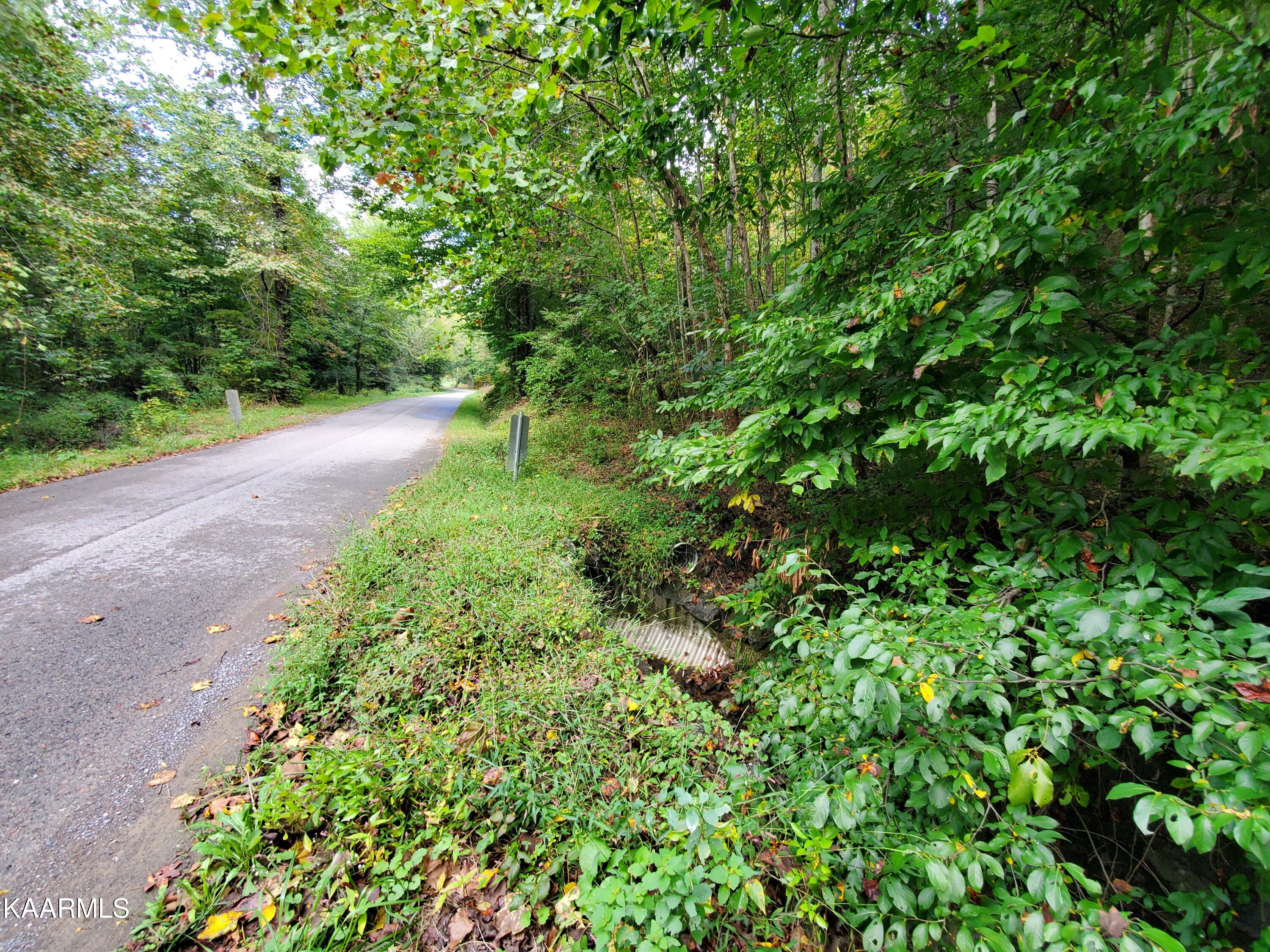 600 Possum Valley Road Dryden, VA 24243 - Photo 8 of 8 20211004_130039