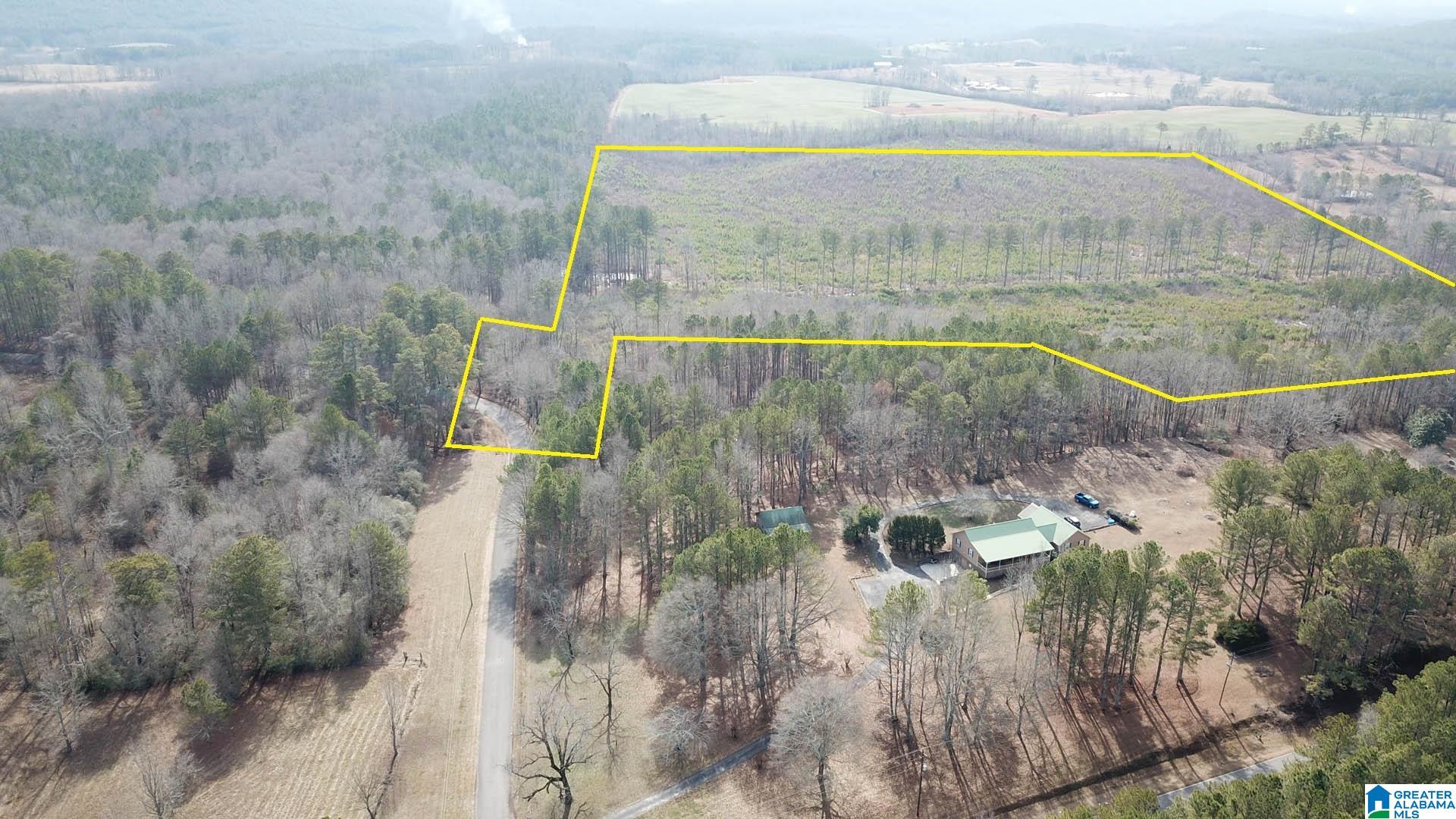 0 Altoona Cutoff Road, Unit 47 5 Oneonta, AL 35121 - Photo 5 of 36