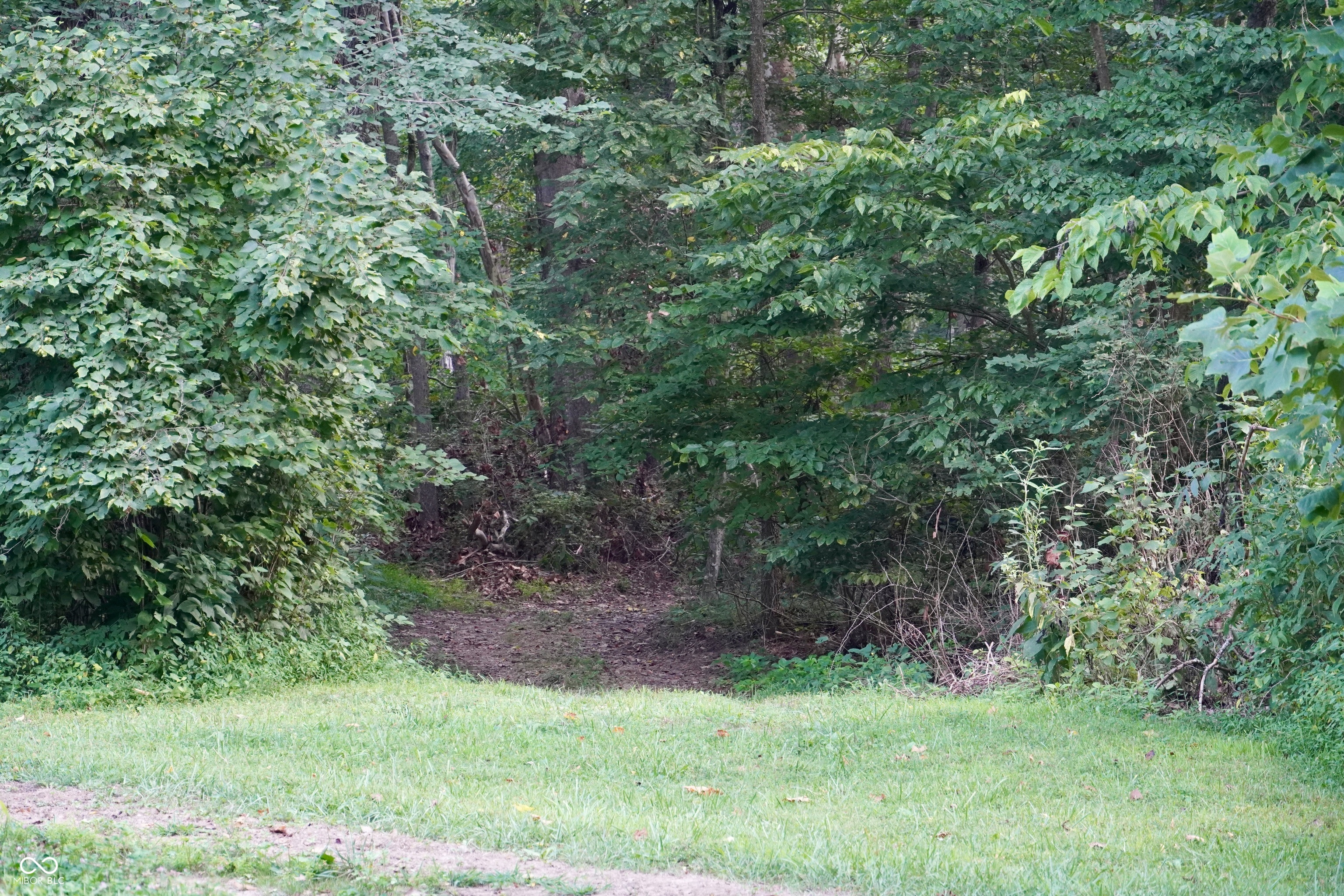 9830 Low Gap Road Martinsville, IN 46151 - Photo 116 of 192 Gallery Image 116