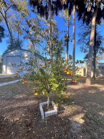 $275,000 | 5492 Southwest Highway 358, Steinhatchee, FL 32359