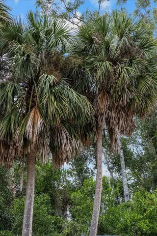 $275,000 | 5492 Southwest Highway 358, Steinhatchee, FL 32359