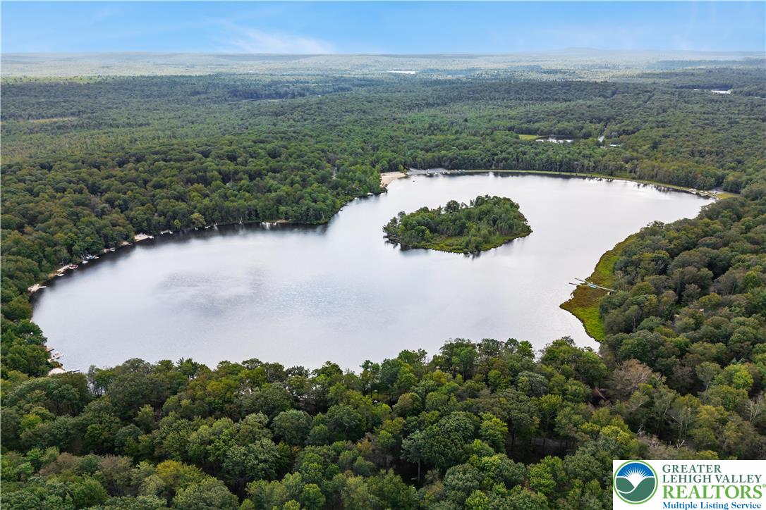 804 Evergreen Road Tobyhanna, PA 18466 - Photo 16 of 19 a view of a lake from a yard