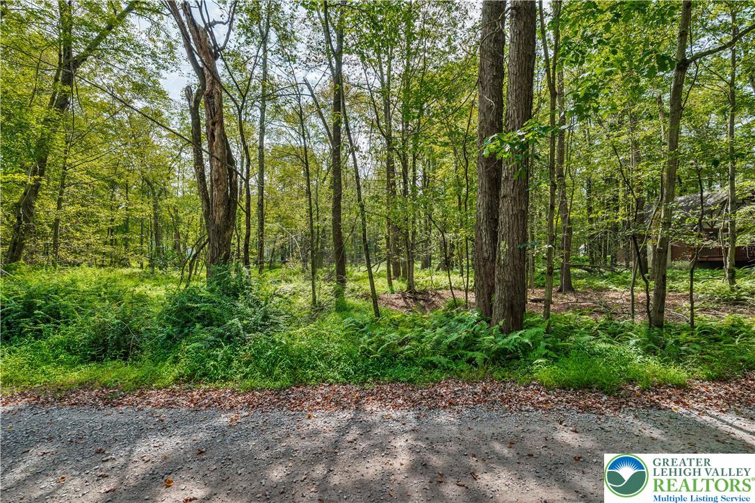 804 Evergreen Road Tobyhanna, PA 18466 - Photo 3 of 19 a view of outdoor space and garden