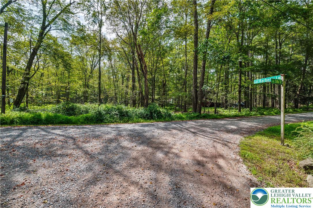 804 Evergreen Road Tobyhanna, PA 18466 - Photo 4 of 19 a view of a park with large trees