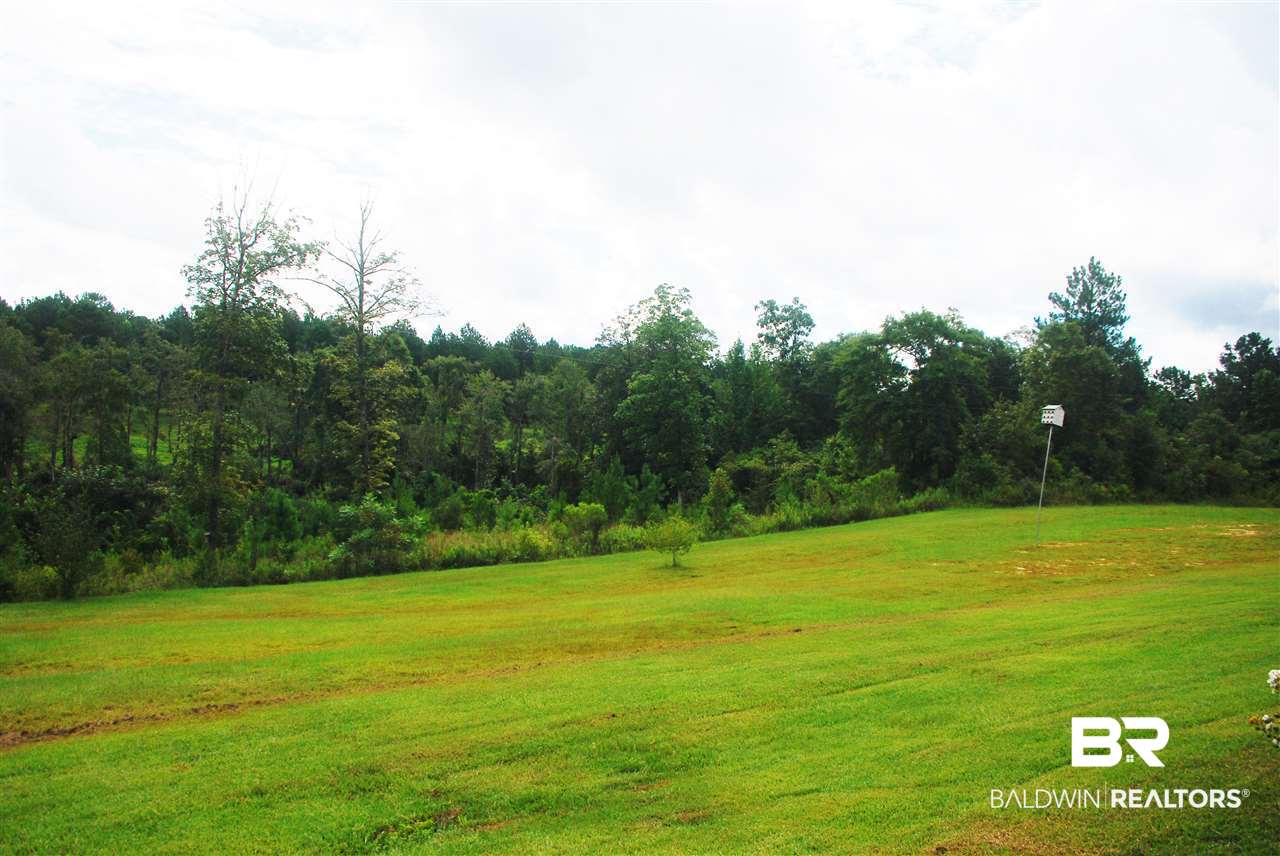 249 Camp Dixon Road Brewton, AL 36426 - Photo 22 of 48
