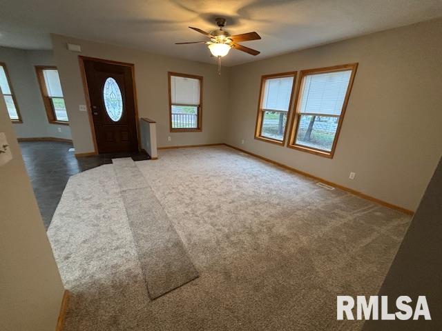 344 North Grove Street Waverly, IL 62692 - Photo 4 of 28