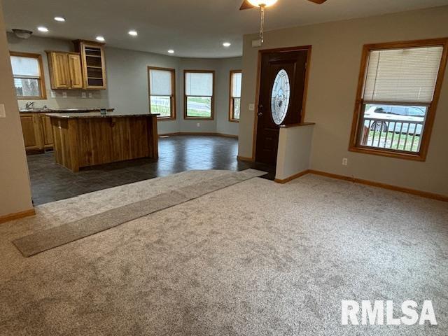 344 North Grove Street Waverly, IL 62692 - Photo 5 of 28