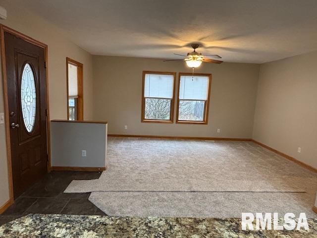 344 North Grove Street Waverly, IL 62692 - Photo 6 of 28