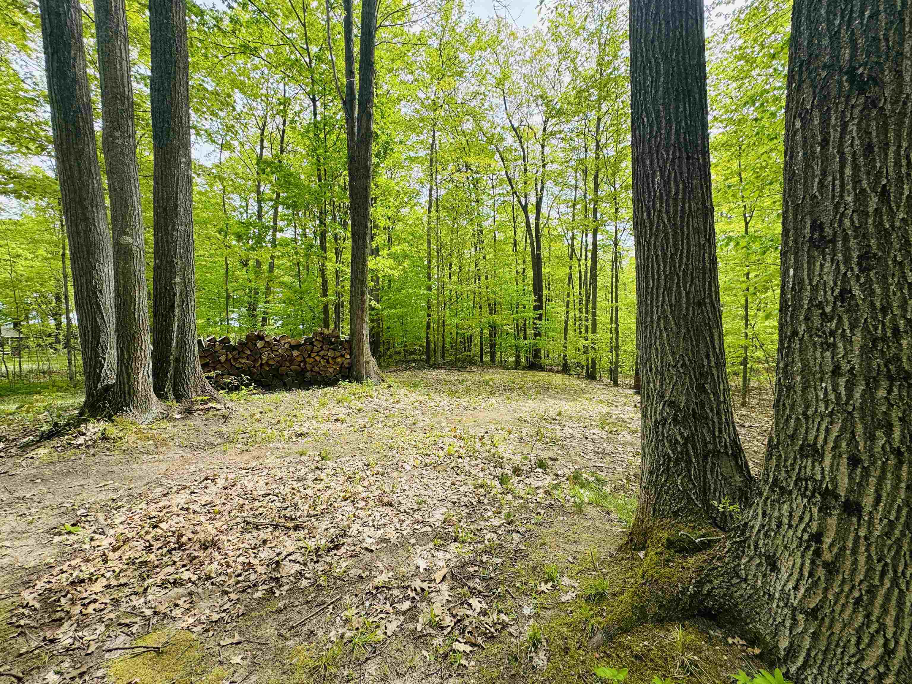 3395 West Edmonds Road Lake City, MI 49651 - Photo 42 of 47 Gallery Image 42