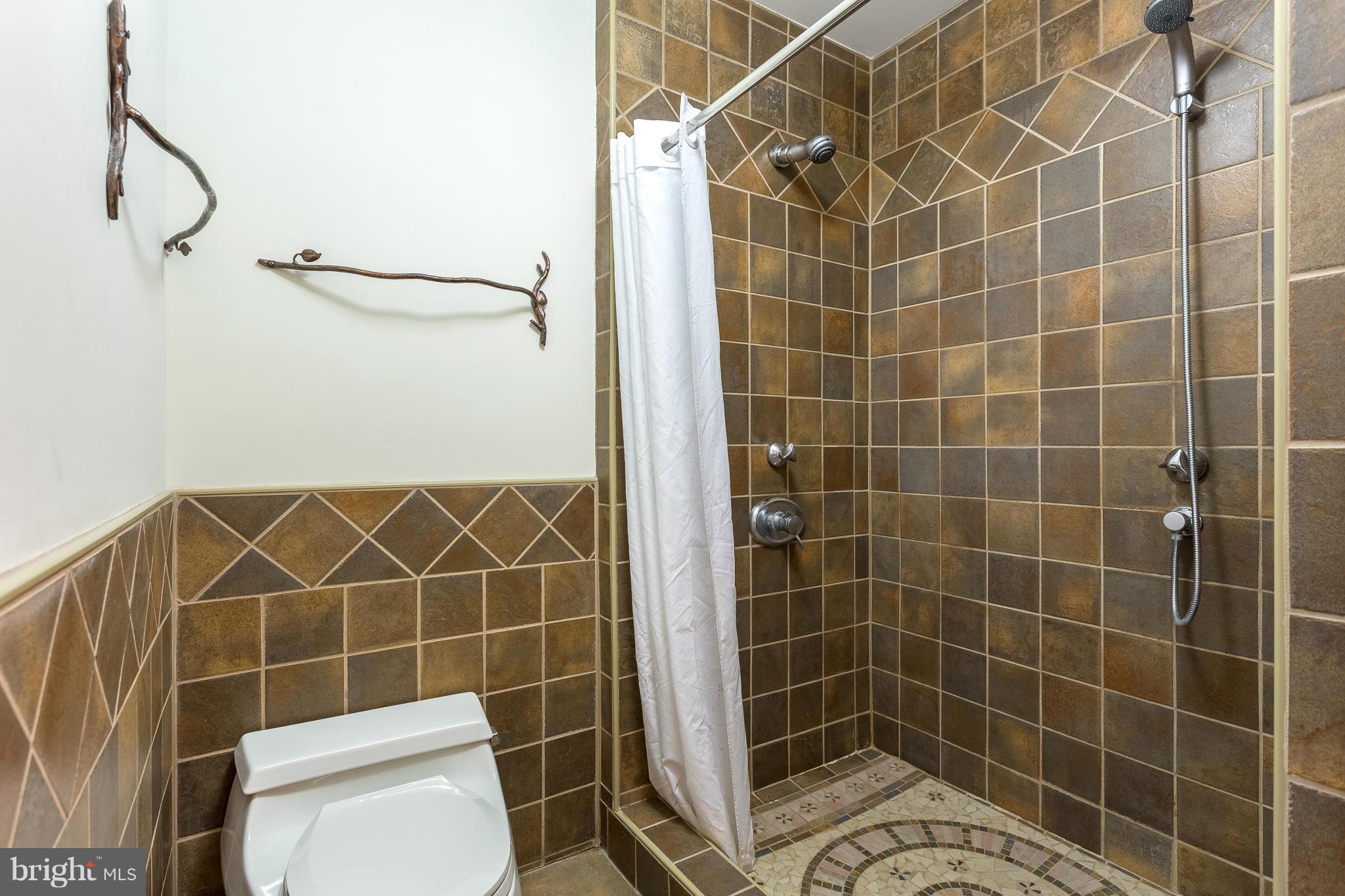 2519 Freetown Drive Reston, VA 20191 - Photo 17 of 29 Bath (Master)