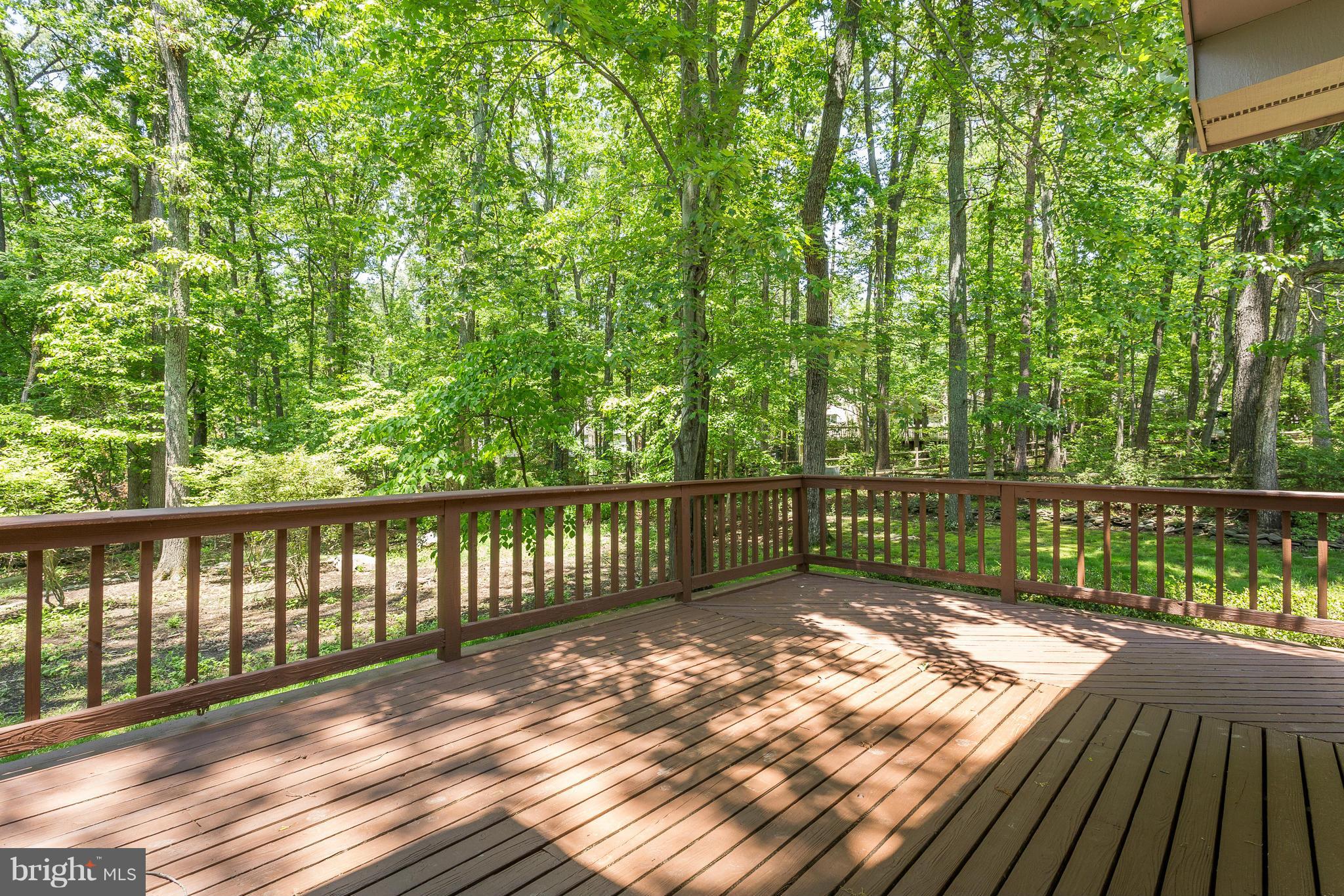 2519 Freetown Drive Reston, VA 20191 - Photo 3 of 29 Entertainment Deck