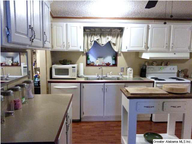 1070 Reads Mill Road Wellington, AL 36279 - Photo 5 of 9
