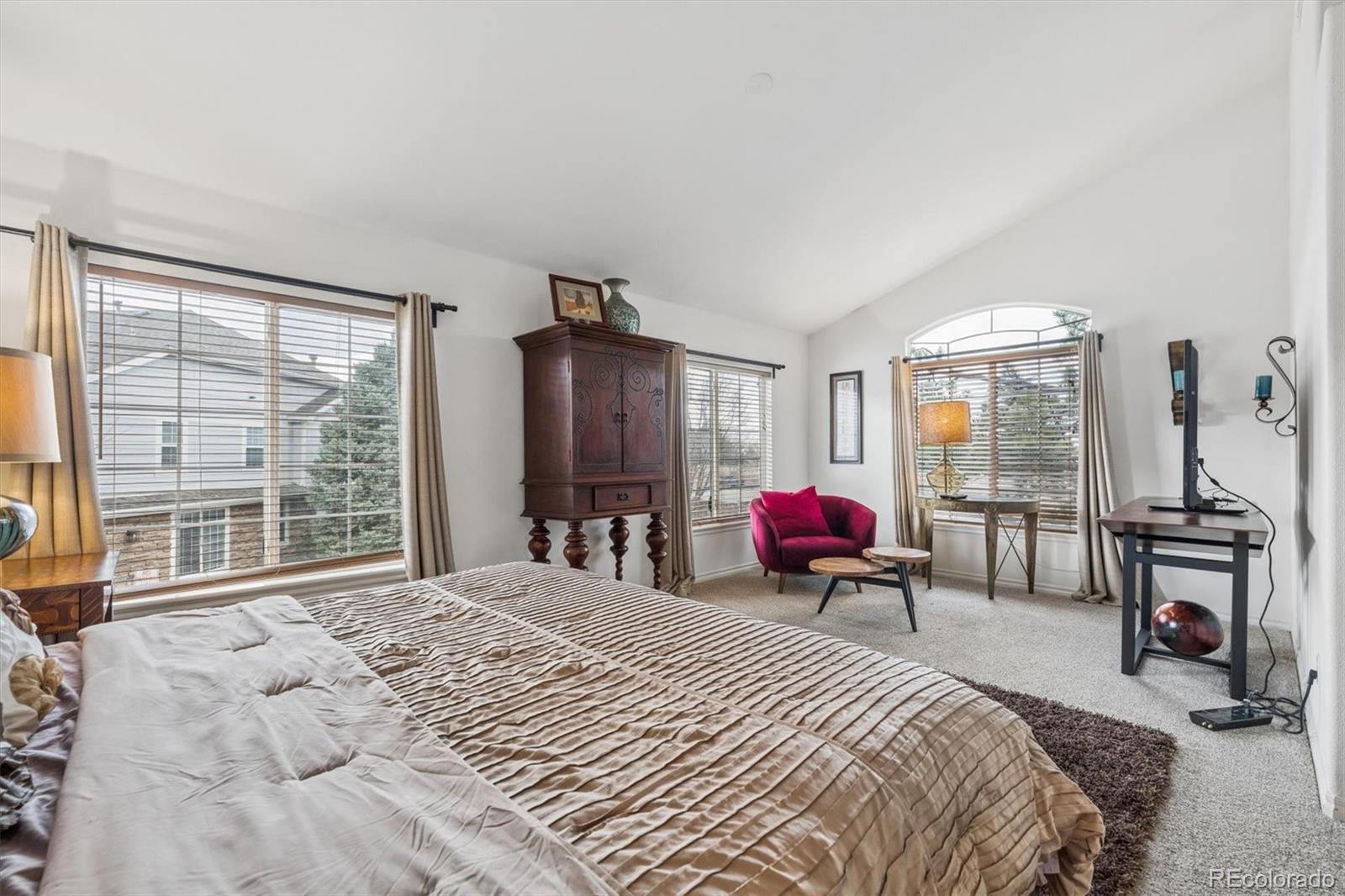 8302 Stonybridge Circle Highlands Ranch, CO 80126 - Photo 16 of 23
