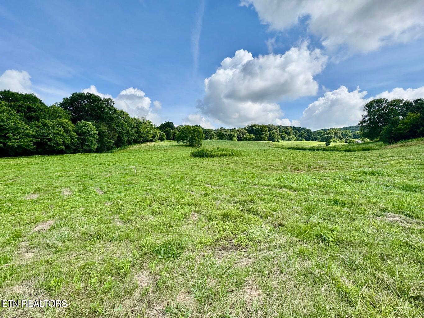 Douglas Dam Road Kodak, TN 37764 - Photo 12 of 32 Douglas Dam 12