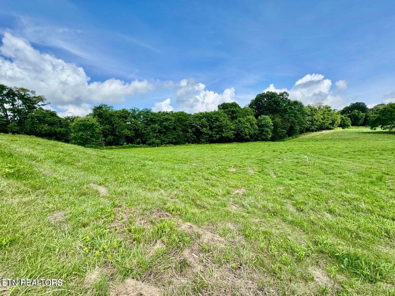 Douglas Dam Road Kodak, TN 37764 - Photo 13 of 32 Douglas Dam 13