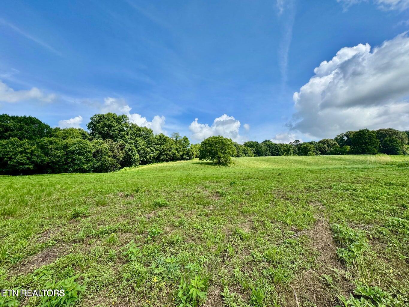 Douglas Dam Road Kodak, TN 37764 - Photo 14 of 32 Douglas Dam 14