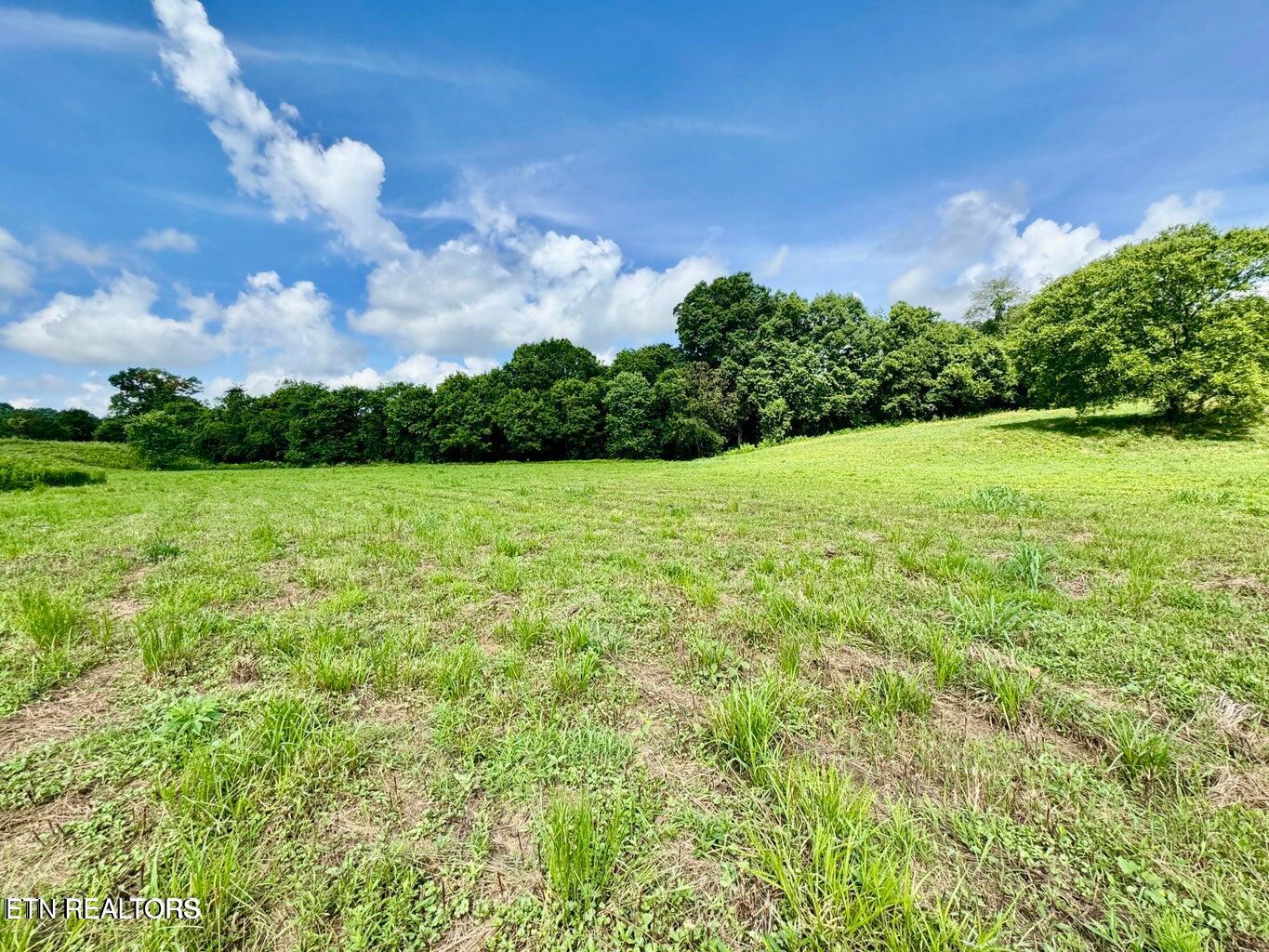 Douglas Dam Road Kodak, TN 37764 - Photo 15 of 32 Douglas Dam 15
