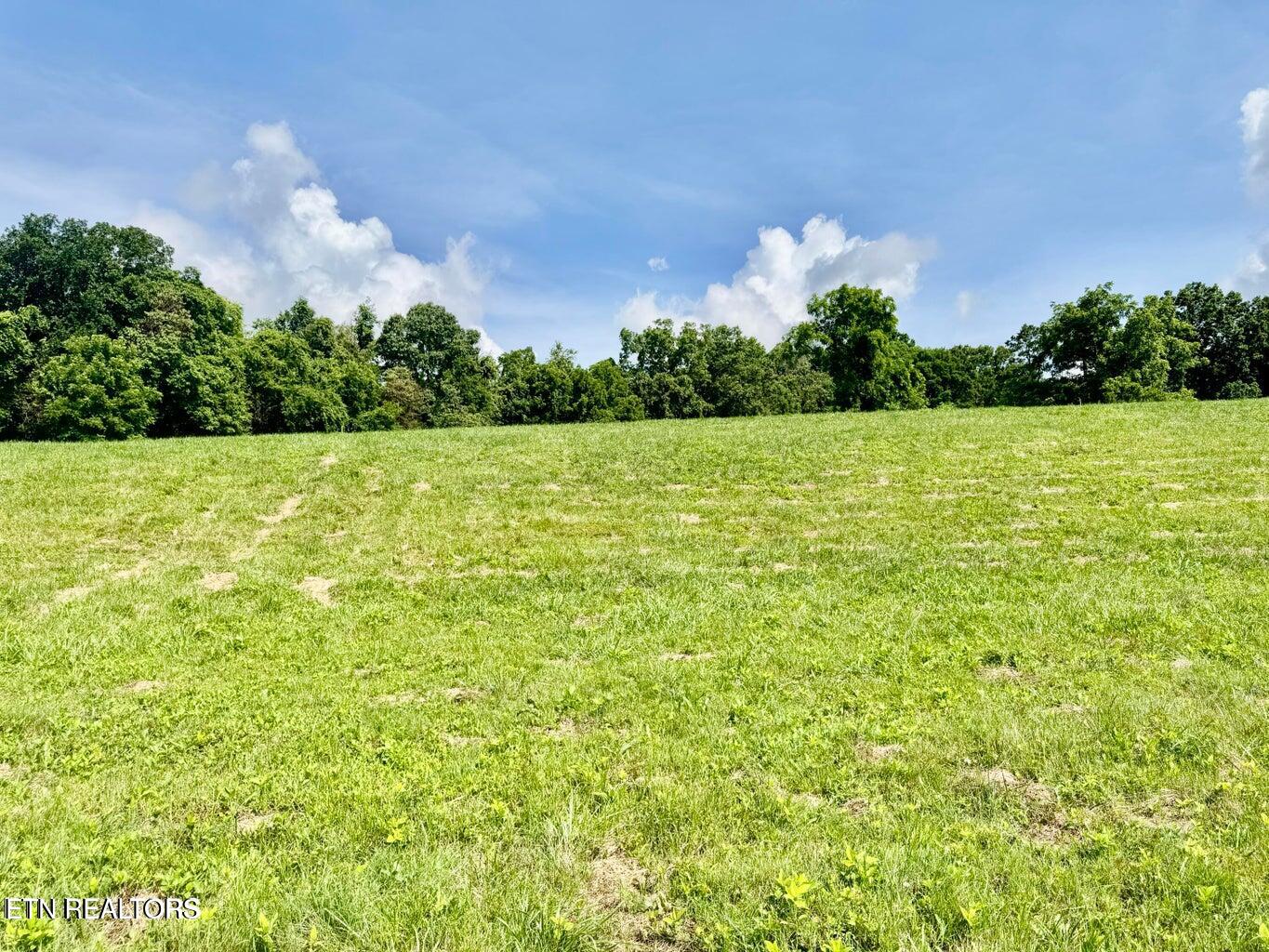 Douglas Dam Road Kodak, TN 37764 - Photo 16 of 32 Douglas Dam 16