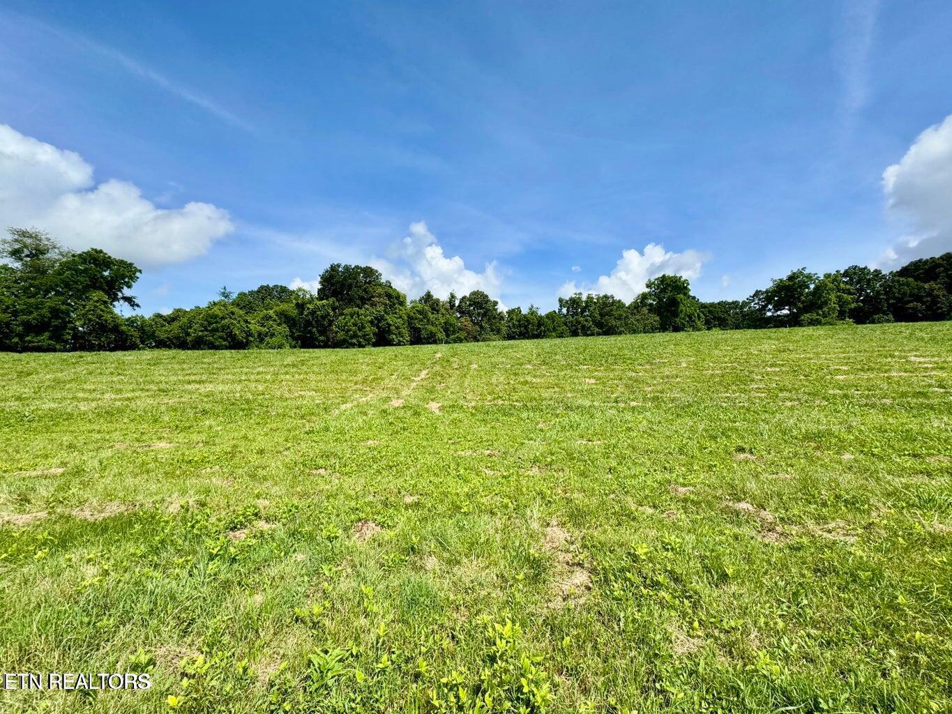 Douglas Dam Road Kodak, TN 37764 - Photo 17 of 32 Douglas Dam 17