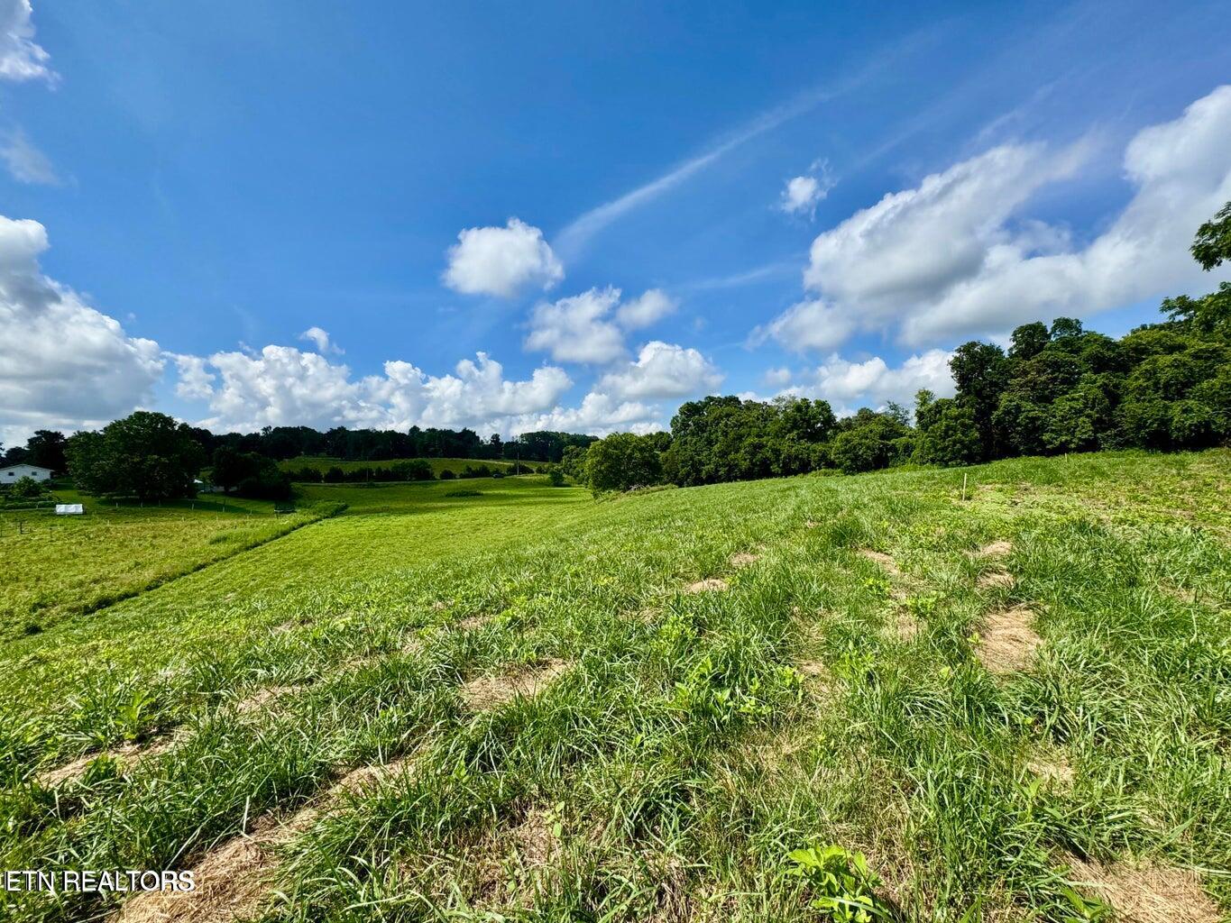 Douglas Dam Road Kodak, TN 37764 - Photo 19 of 32 Douglas Dam 19