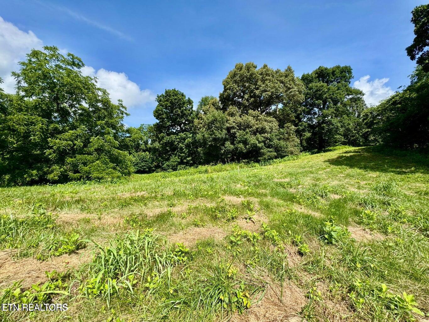 Douglas Dam Road Kodak, TN 37764 - Photo 20 of 32 Douglas Dam 20