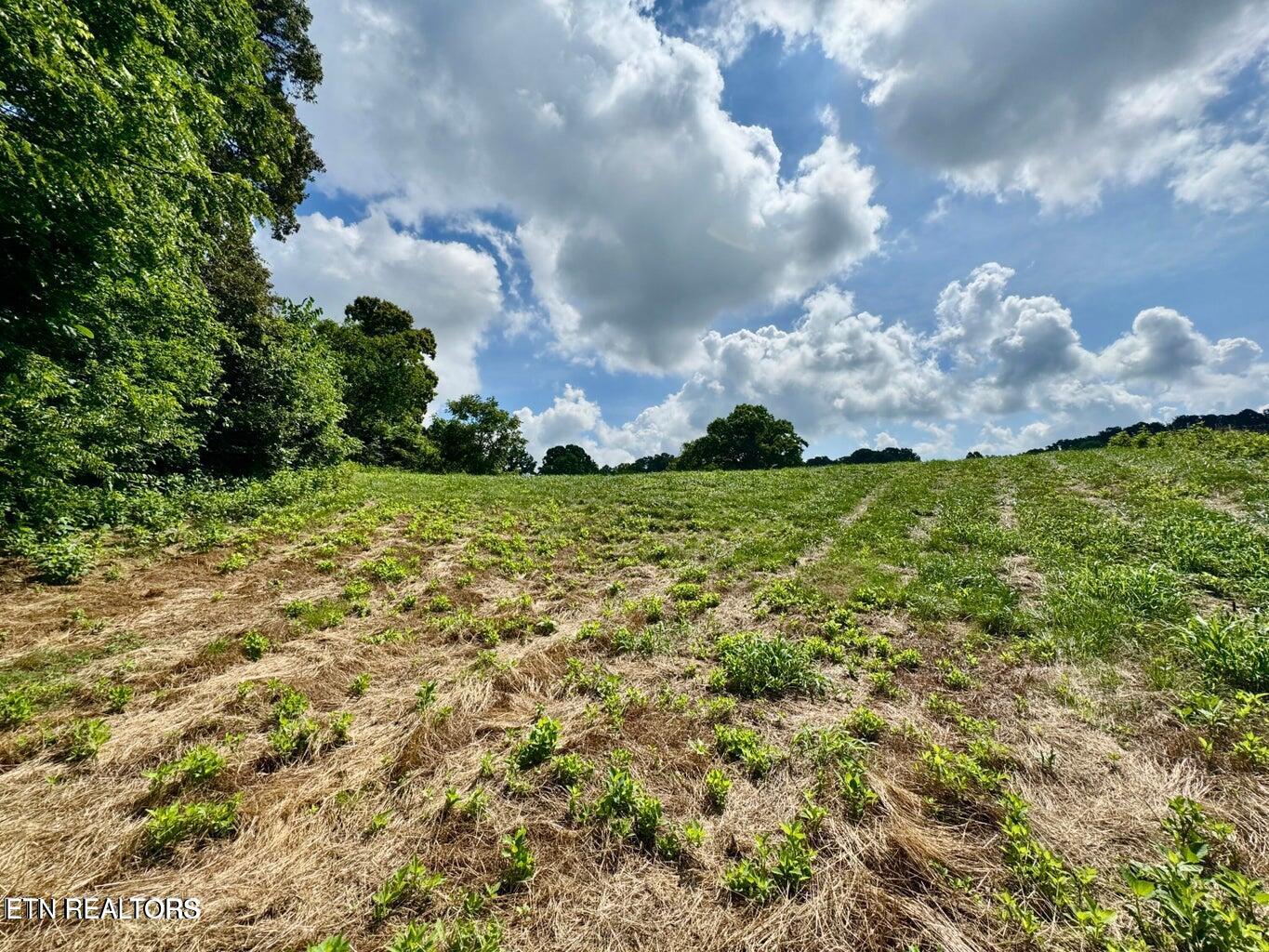 Douglas Dam Road Kodak, TN 37764 - Photo 21 of 32 Douglas Dam 21
