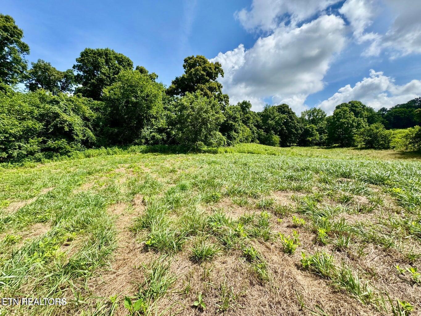 Douglas Dam Road Kodak, TN 37764 - Photo 22 of 32 Douglas Dam 22