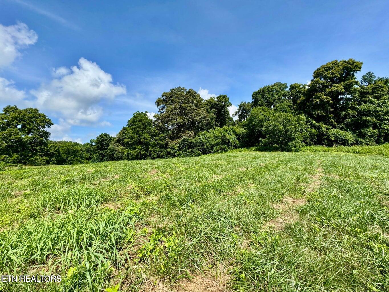 Douglas Dam Road Kodak, TN 37764 - Photo 23 of 32 Douglas Dam 23
