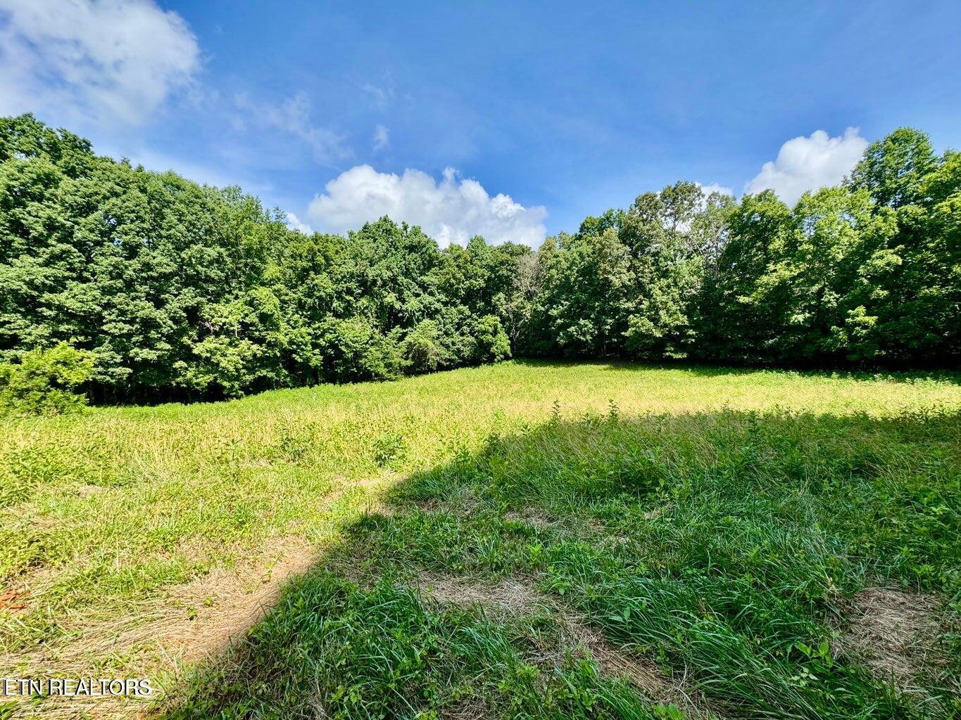 Douglas Dam Road Kodak, TN 37764 - Photo 24 of 32 Douglas Dam 24