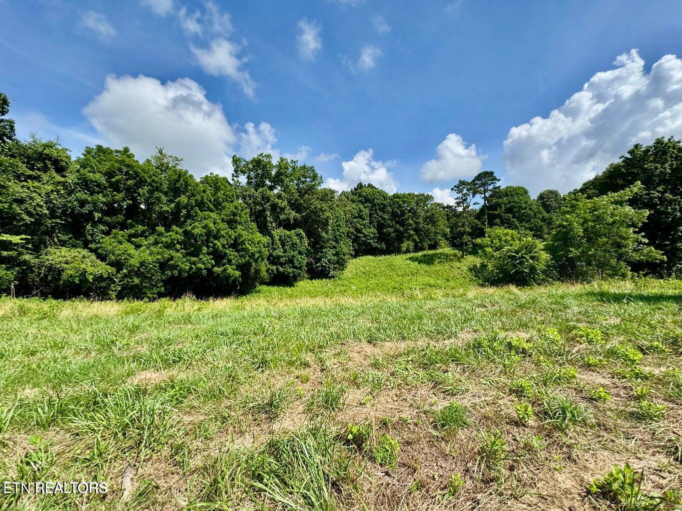 Douglas Dam Road Kodak, TN 37764 - Photo 25 of 32 Douglas Dam 25