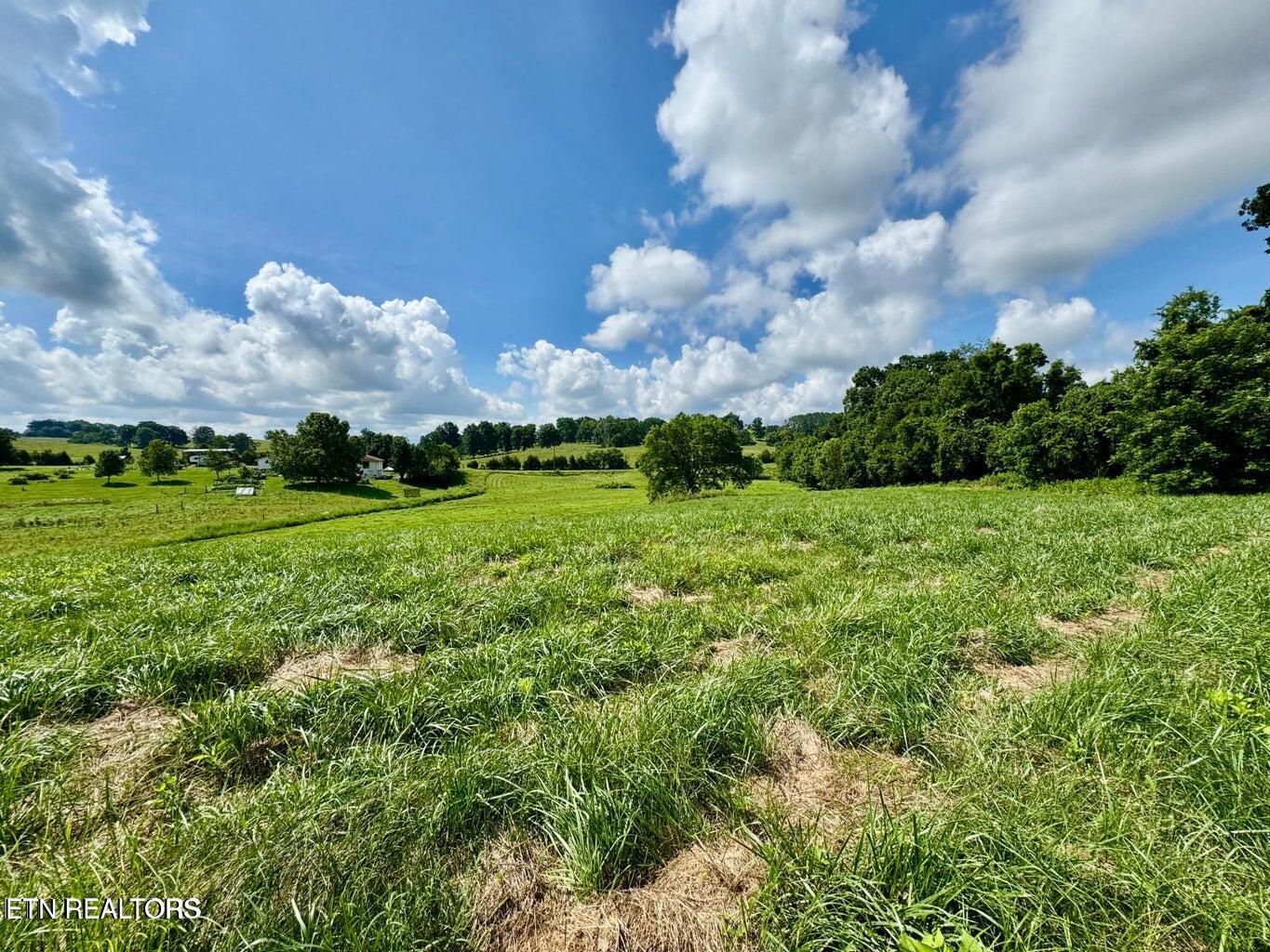 Douglas Dam Road Kodak, TN 37764 - Photo 26 of 32 Douglas Dam 26