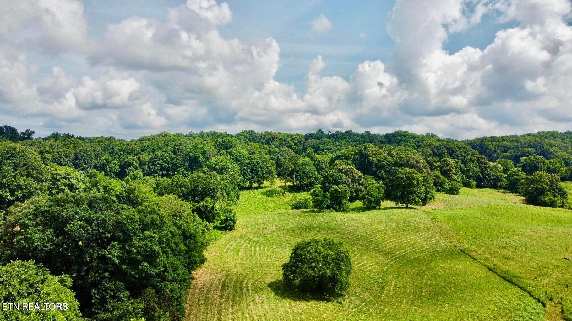 Douglas Dam Road Kodak, TN 37764 - Photo 27 of 32 Douglas Dam 27
