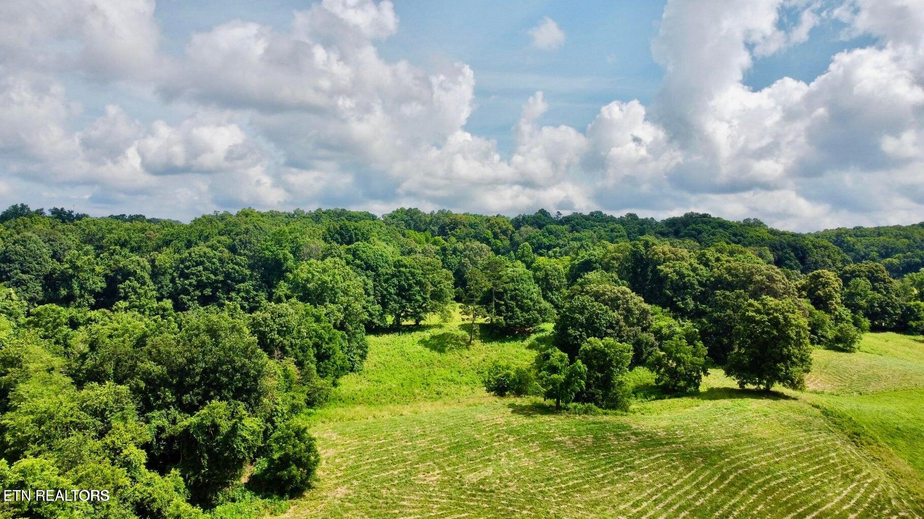Douglas Dam Road Kodak, TN 37764 - Photo 28 of 32 Douglas Dam 28