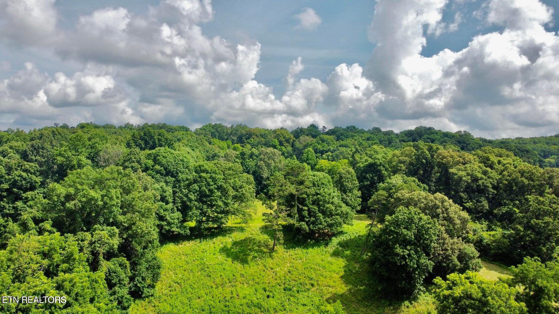 Douglas Dam Road Kodak, TN 37764 - Photo 29 of 32 Douglas Dam 29