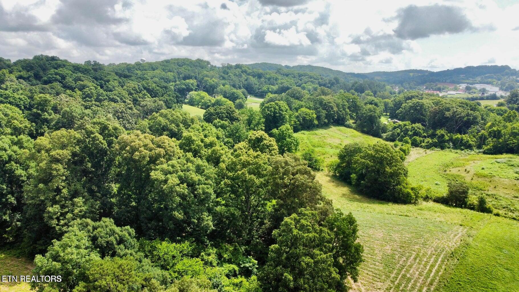 Douglas Dam Road Kodak, TN 37764 - Photo 31 of 32 Douglas Dam 31