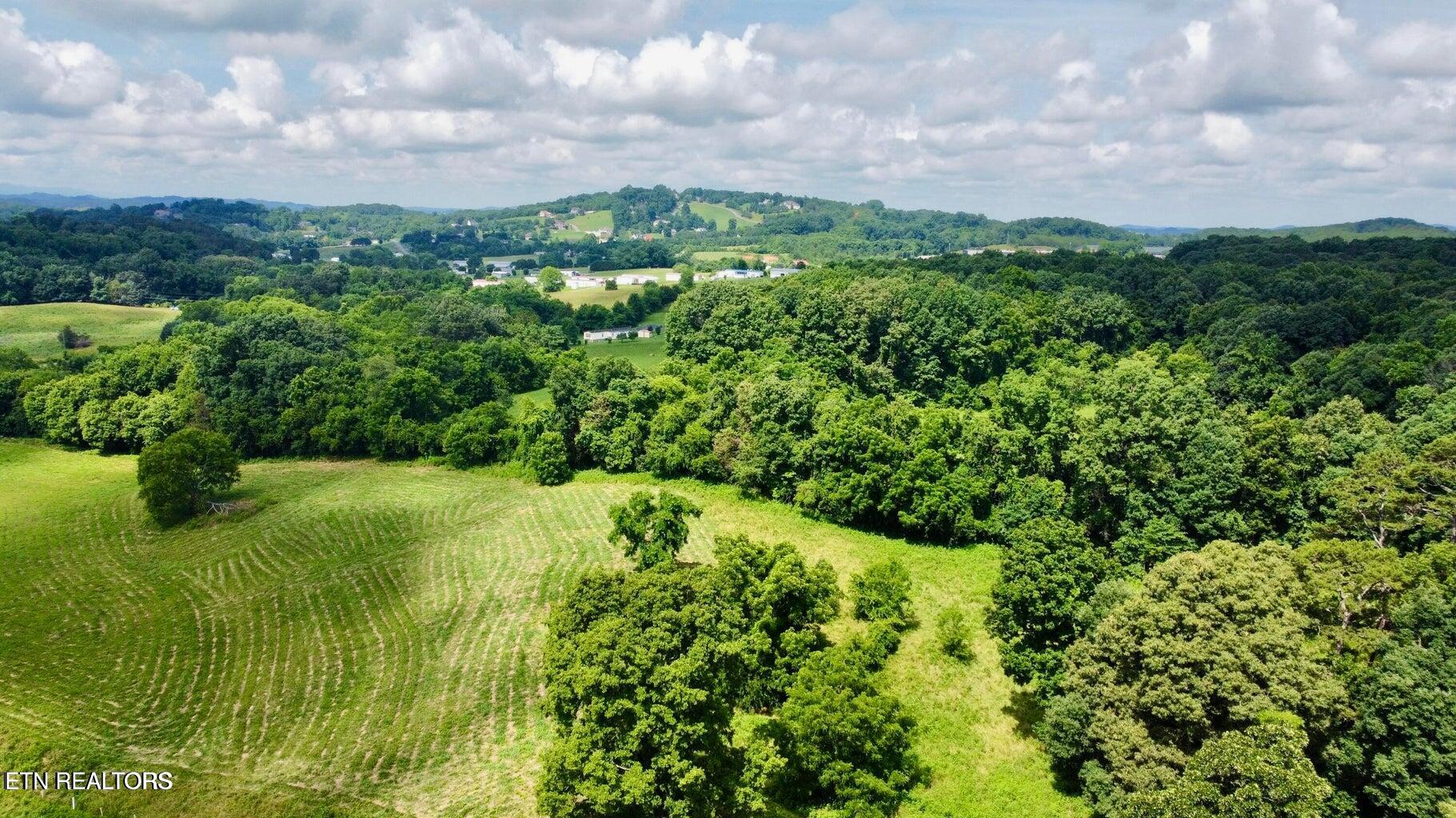 Douglas Dam Road Kodak, TN 37764 - Photo 6 of 32 Douglas Dam 6