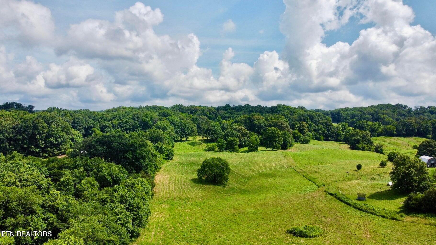 Douglas Dam Road Kodak, TN 37764 - Photo 7 of 32 Douglas Dam 7