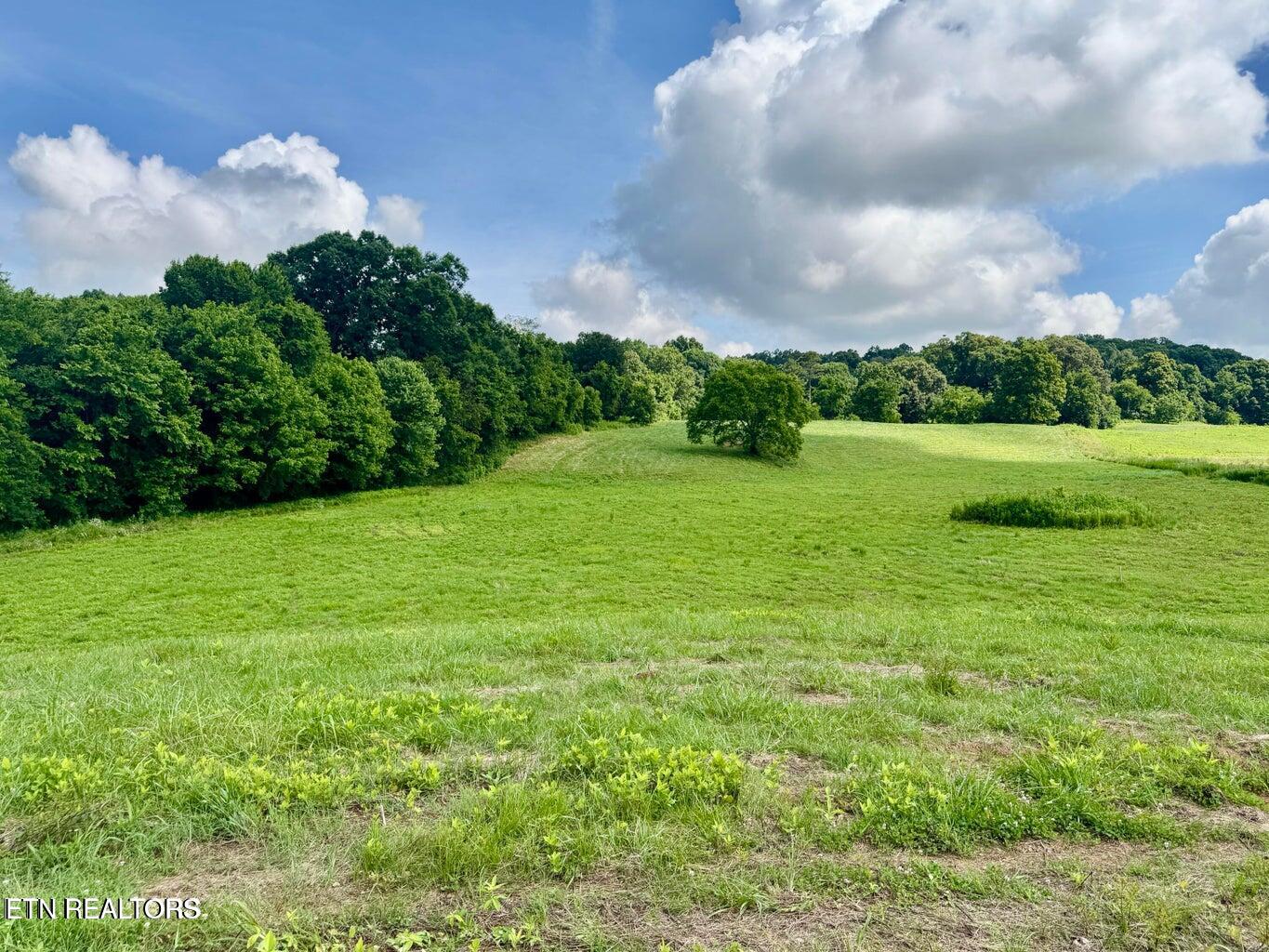Douglas Dam Road Kodak, TN 37764 - Photo 9 of 32 Douglas Dam 9