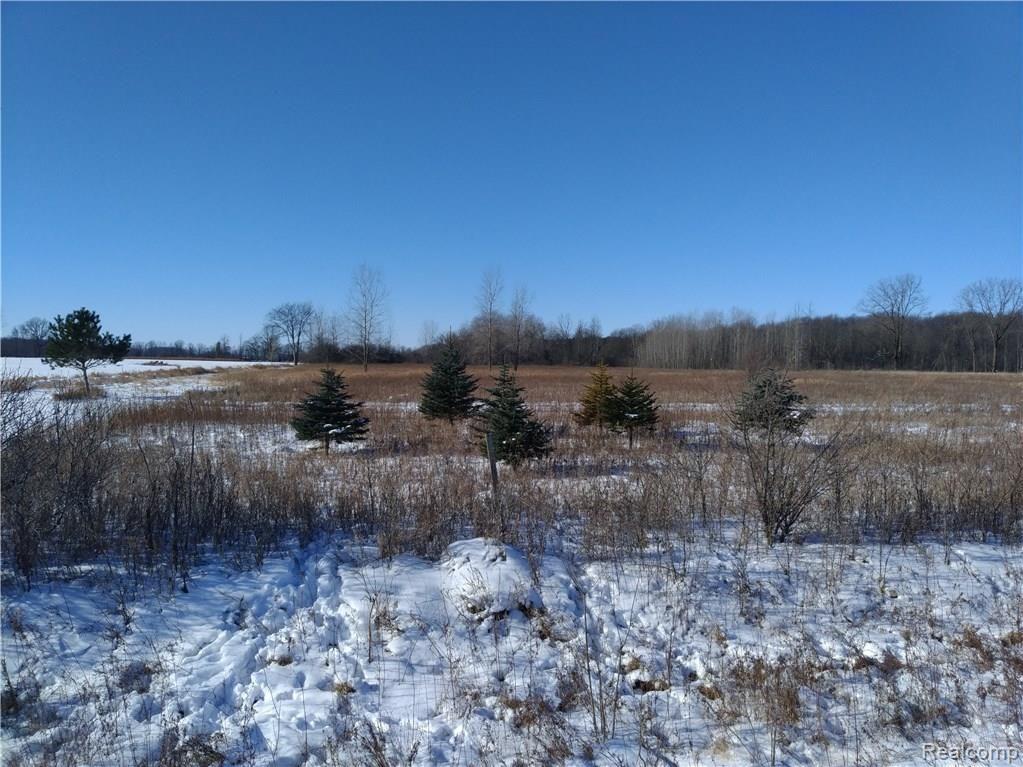 10 A Mason Road Yale, MI 48097 - Photo 6 of 8