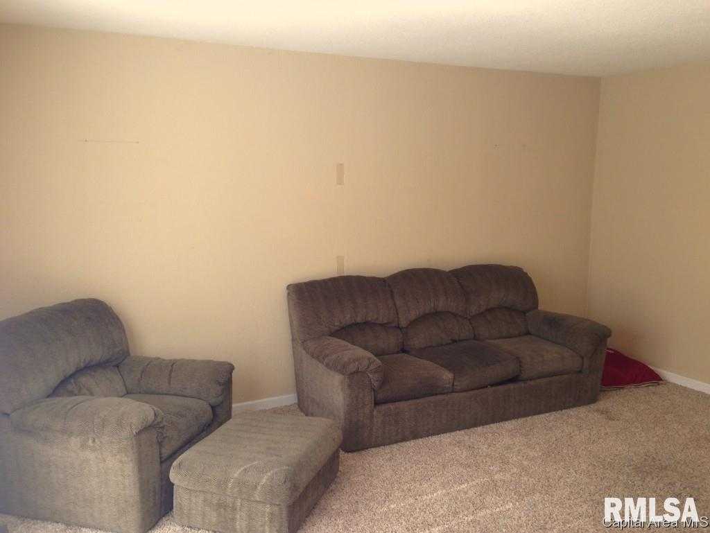 2220 East Keys Avenue Springfield, IL 62702 - Photo 11 of 26