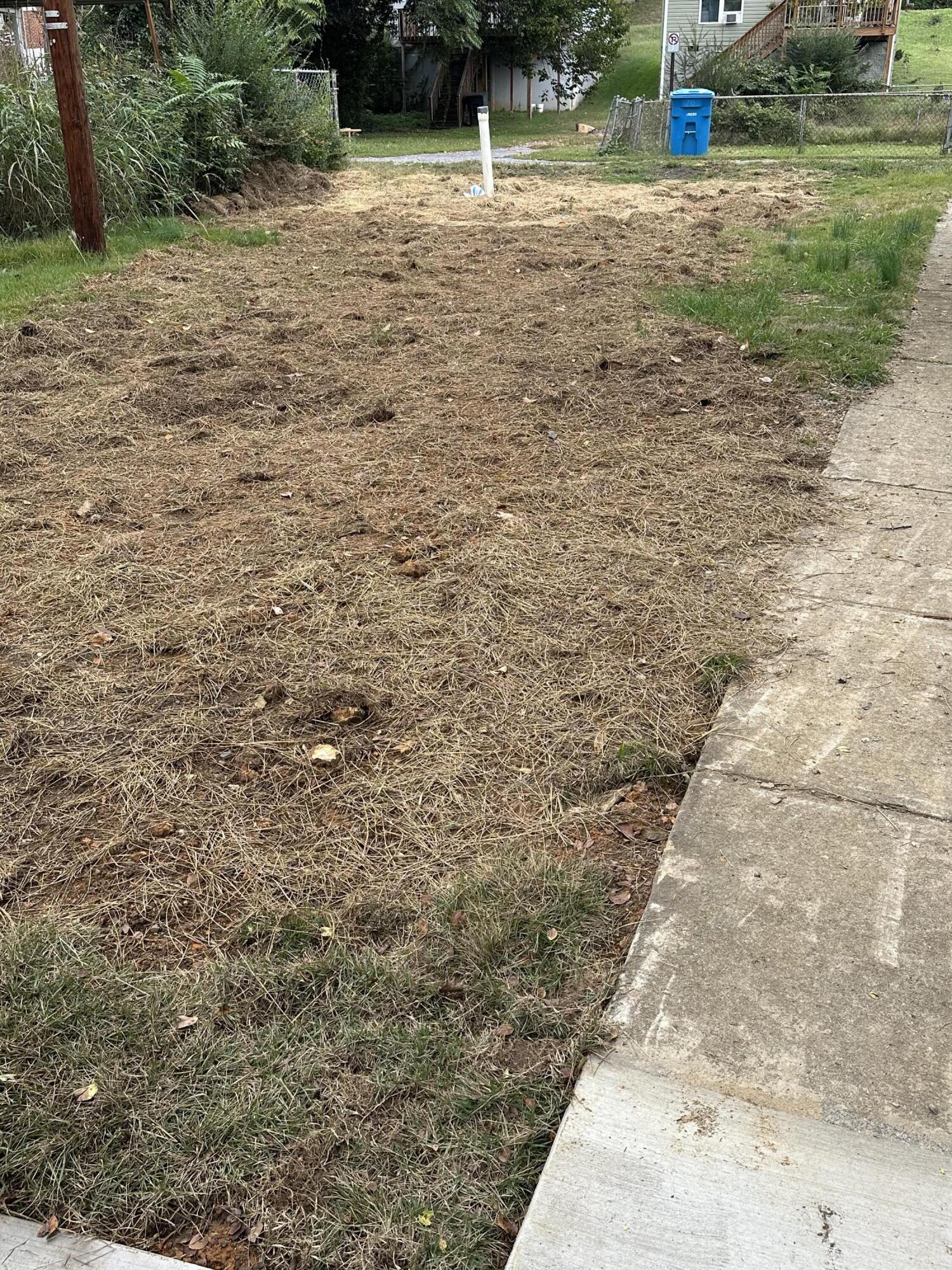 707 Rutherford Avenue Northwest Roanoke, VA 24016 - Photo 3 of 22 a backyard of a house