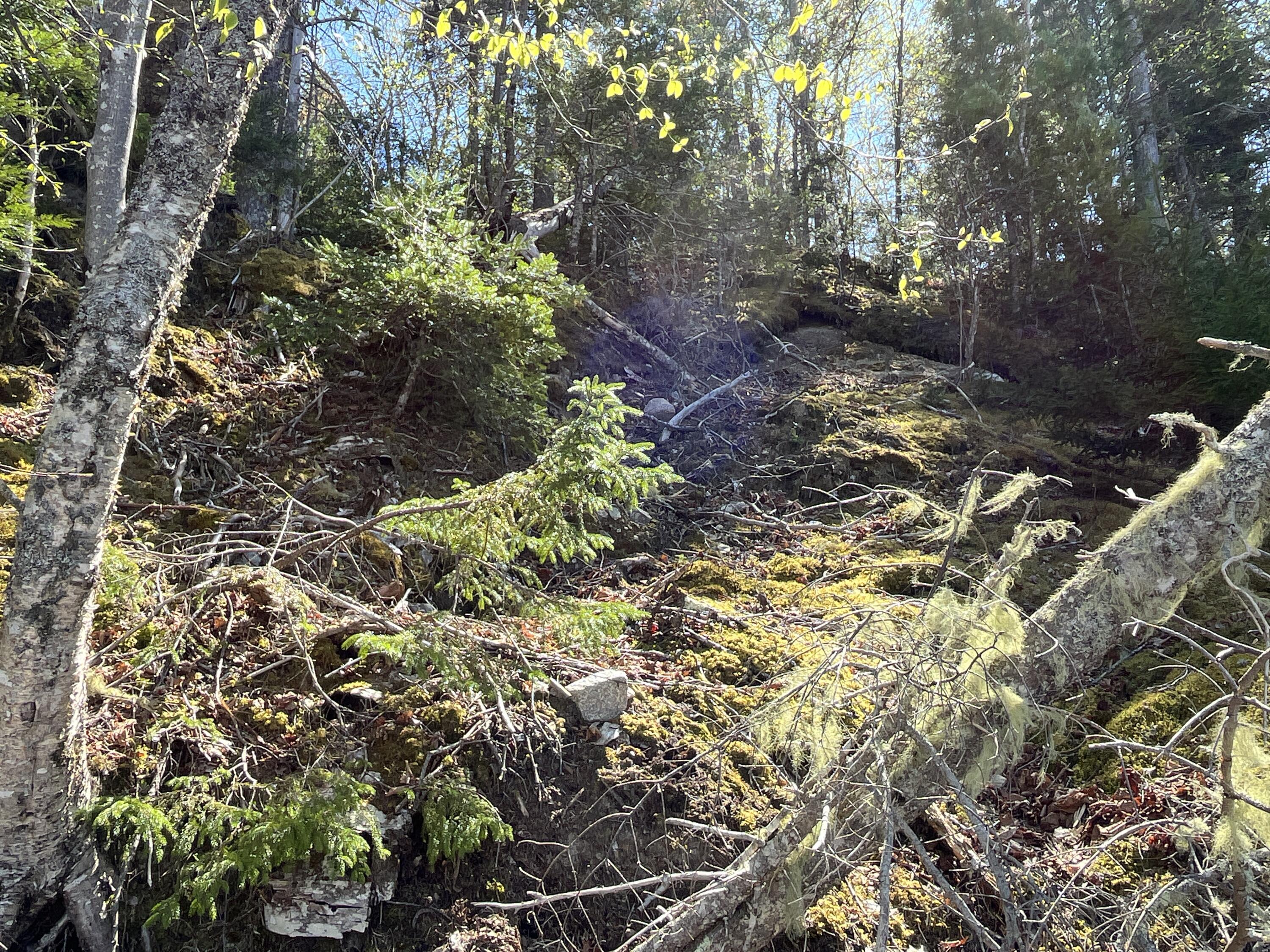 8 Blueberry Shrs Road Jonesport, ME 04649 - Photo 15 of 35 steep access to water