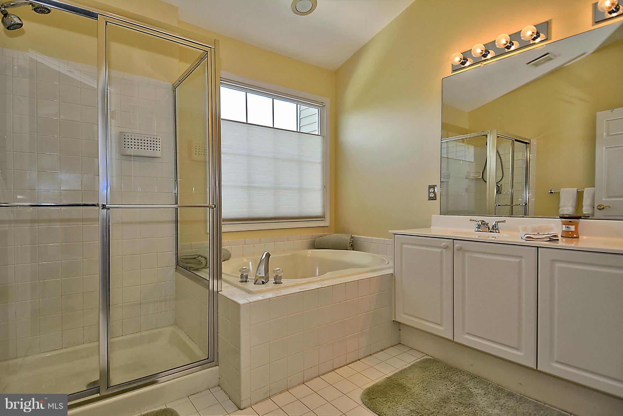 8441 Bells Ridge Terrace Potomac, MD 20854 - Photo 19 of 29 Bath (Master)