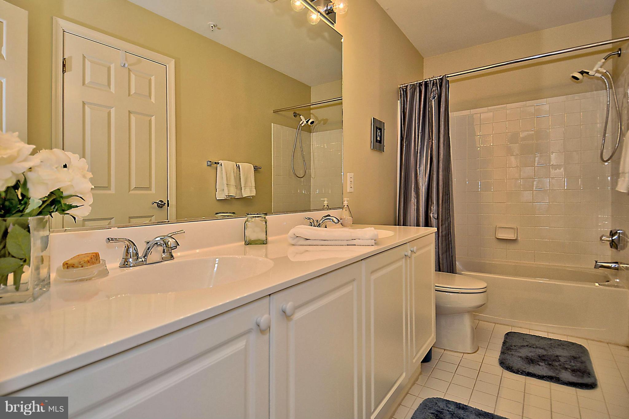 8441 Bells Ridge Terrace Potomac, MD 20854 - Photo 22 of 29 Bath