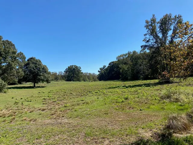 a view of a yard with an trees