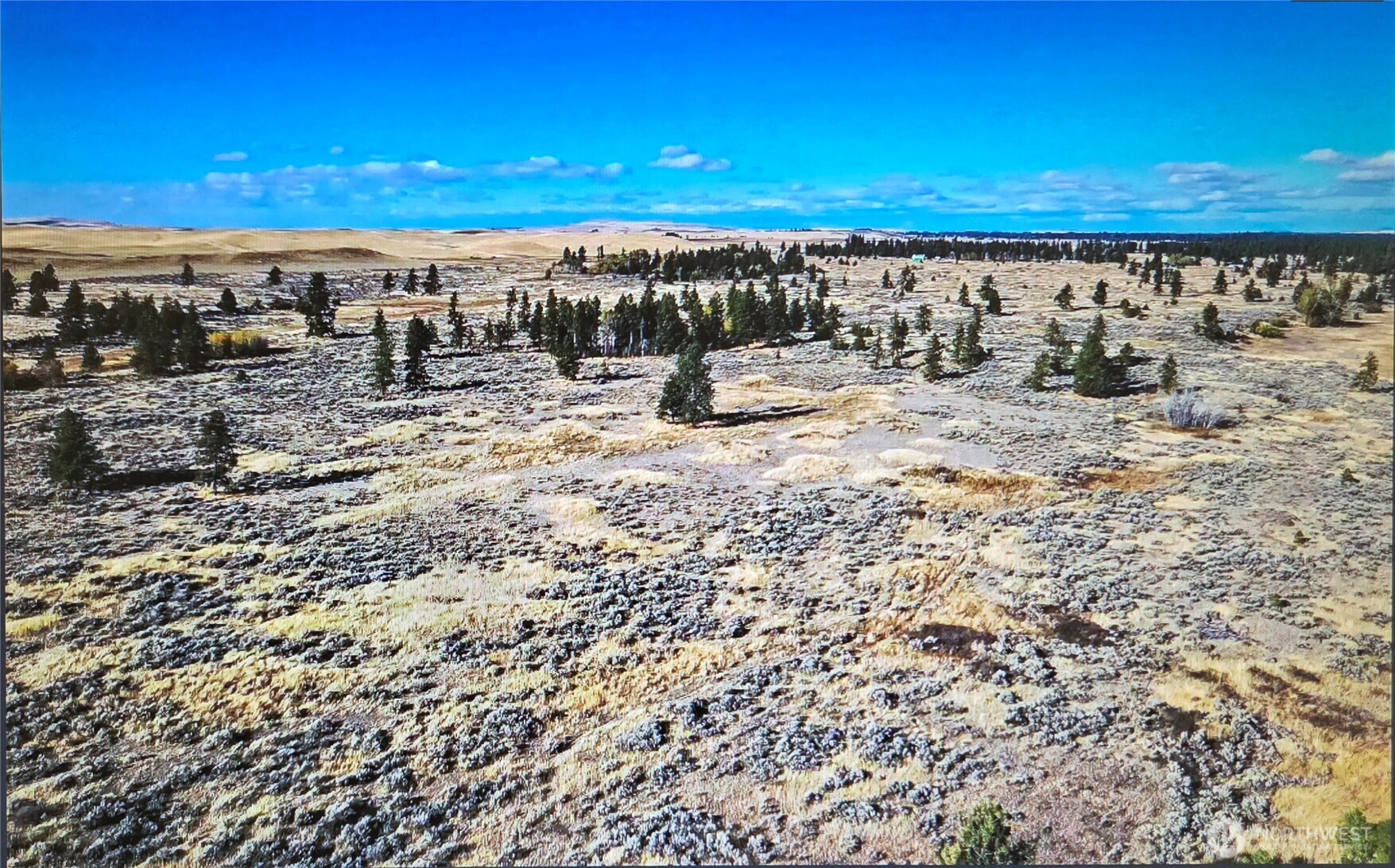 0 South Harrison Road West Edwall, WA 99008 - Photo 11 of 29 a view of a large building with a city view