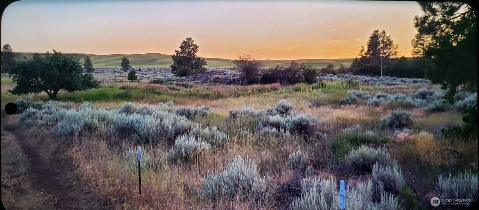 0 South Harrison Road West Spokane, WA 99224 - Photo 12 of 15 a view of a lush green field